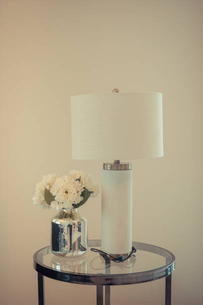 istock classic white lamp with vase of plants 1017706386