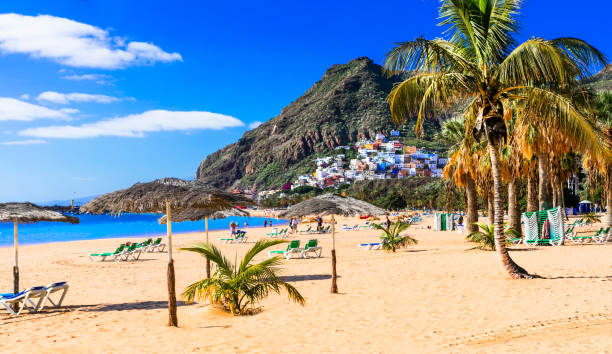 golden beautiful beach las teresitas - teneride island - tenerife spain santa cruz de tenerife canary islands imagens e fotografias de stock