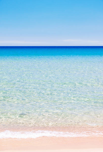 istock Colorful beach and calm ocean background 1017718552