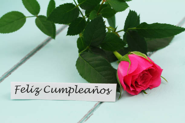 istock Feliz Cumpleanos (Happy Birthday in Spanish) card with pink wild rose 1017724254