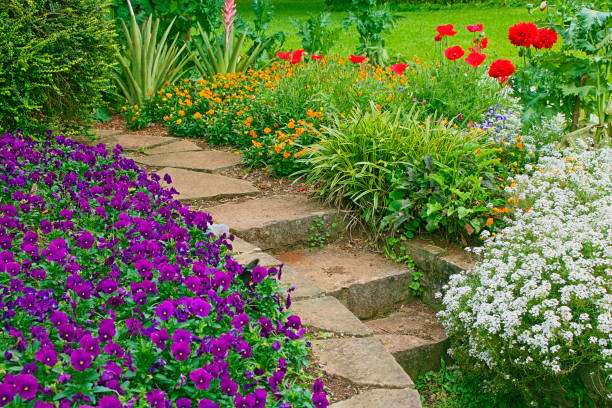 istock Garden flowerbed detail in public park 1017724954