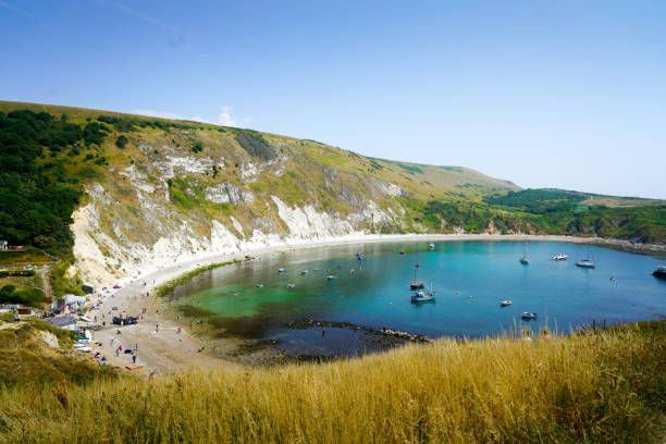 durdle 문, 영국, 주라기 해안 세계 유산에에서도 싯 - coastline dorset footpath durdle door 뉴스 ��사진 이미지