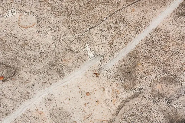 Photo of Surface of stoneware close up full of out of focus, granular shapes.