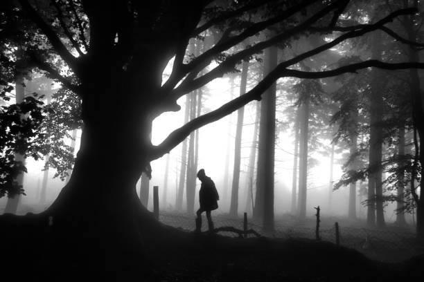 istock Person by trees in Autumn fog 1017749122