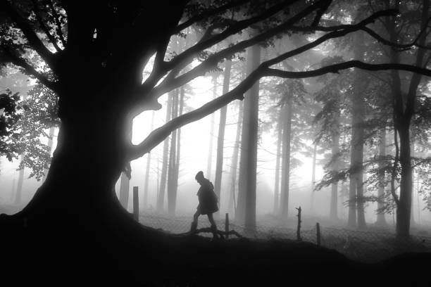 istock Person by trees in Autumn fog 1017749126