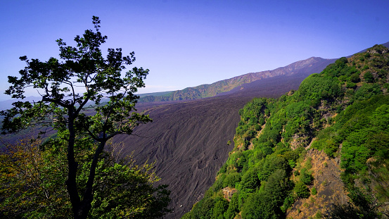 View of the petrified lava flow at the slopes of the volcano Etna, Italy.
