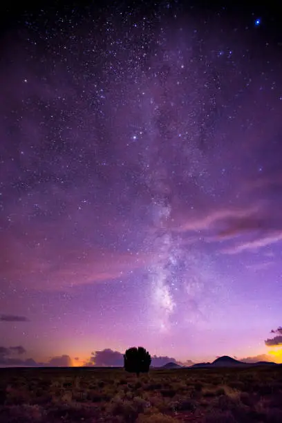 The Milky Way softly glows above a lone tree in the high desert outside of Flagstaff, Arizona.