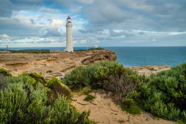 Cape Nelson State park and its lighthouse in the summer stock photo