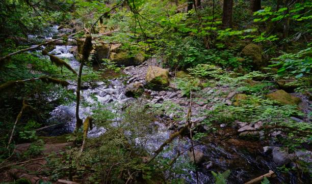 istock Falls Creek Green Rocks 1017787602