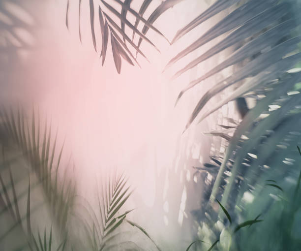 istock Palm trees enclosing an area of pink sky. 1017787902