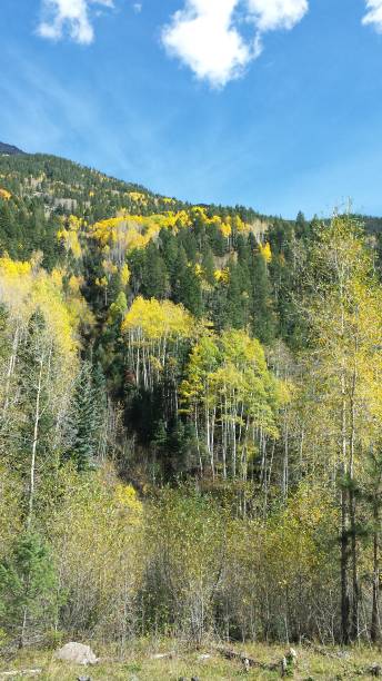 istock Day trip on the Durango to Silverton NArrow Gauge Railway 1017788038