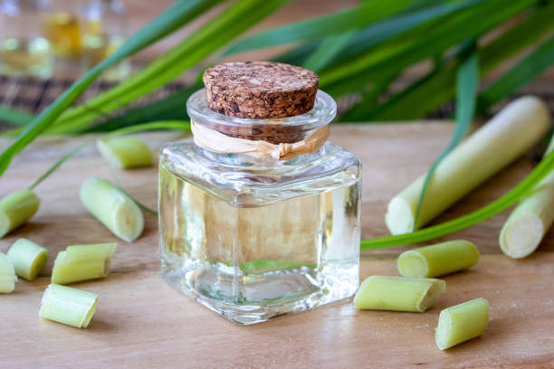 istock A bottle of lemon grass essential oil with fresh lemon grass 1017804438
