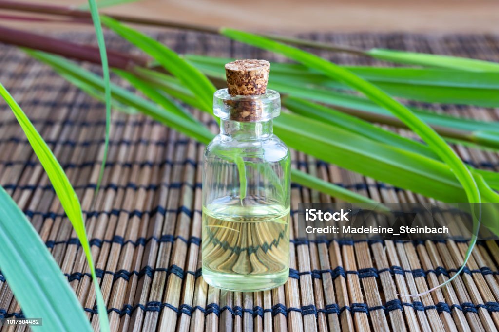 Une bouteille d’huile essentielle de citronnelle à la citronnelle fraîche - Photo de Citronnelle libre de droits