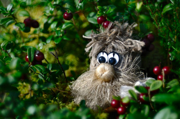 istock Wood spirit in berries 1017804538