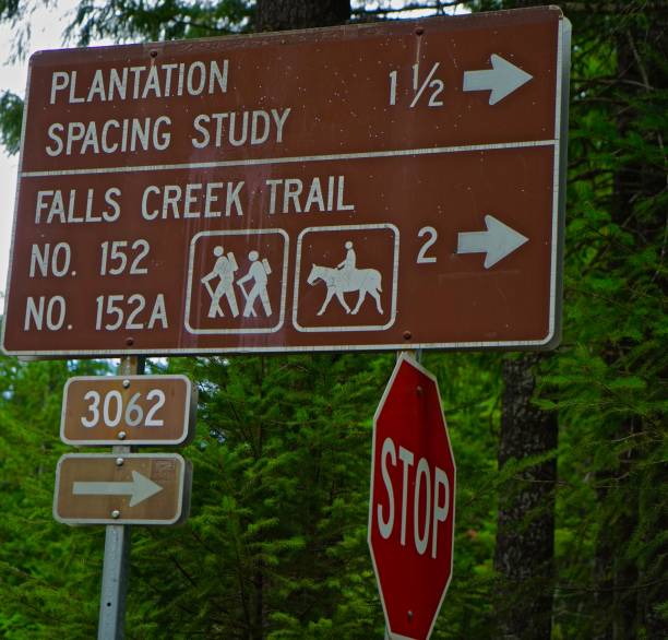 istock Washington Wilderness Stop Sign 1017804934