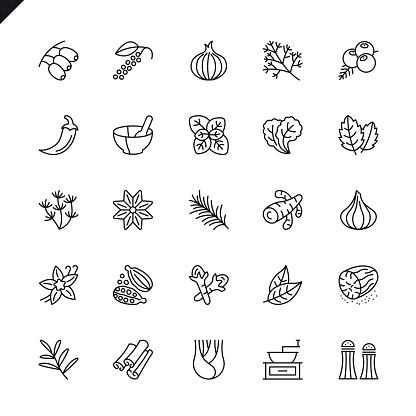 Thin line spices, condiments and herbs icons set for website and mobile site and apps. Outline icons design. 48x48 Pixel Perfect. Linear pictogram pack. Vector illustration.