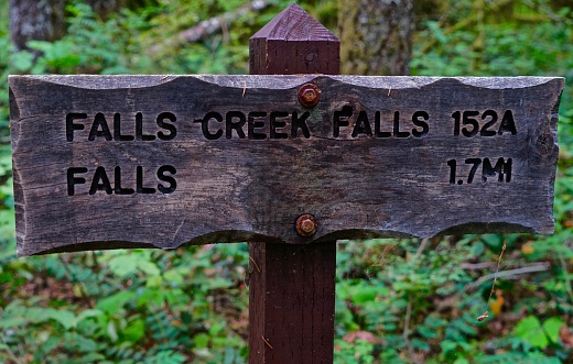 Southern Washington's Cascade Range.
Gifford Pinchot National Forest.
Fall Creek Falls Trailhead.