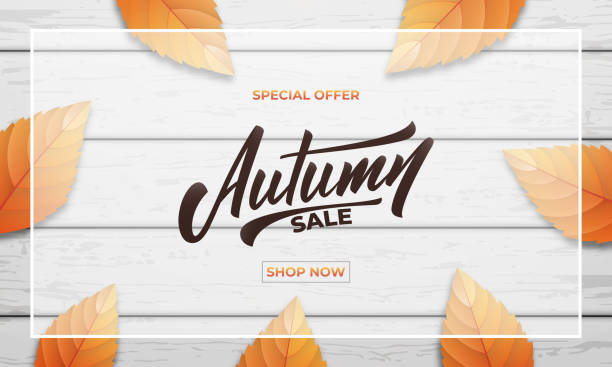 istock Autumn sale background layout design. Autumn lettering, fall leaves and wooden background. Fall sale banner 1017809678