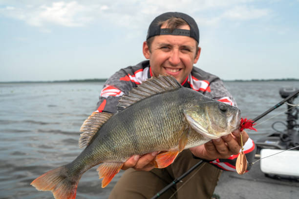 istock Happy fisherman with big perch fish trophy at boat 1017810046