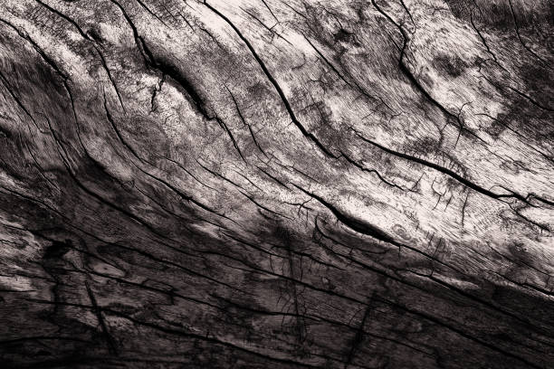 istock Macro of Aged Vintage Wood Textures 1017815776