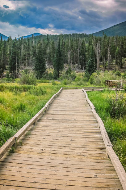 istock Boardwalk in Rocky Mountain National Park 1017823300