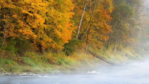 Photo of Autumn Gauja river in Sigulda, Latvia