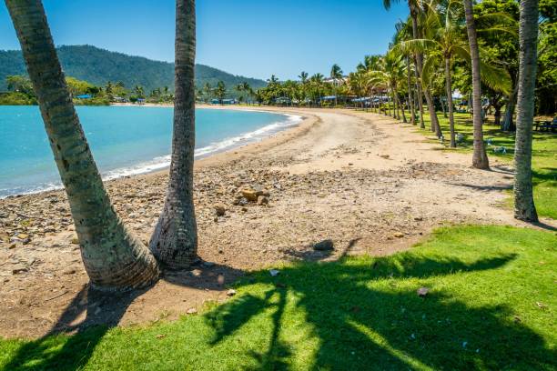 istock Airlie beach in the summer on a hot sunny day 1017839148