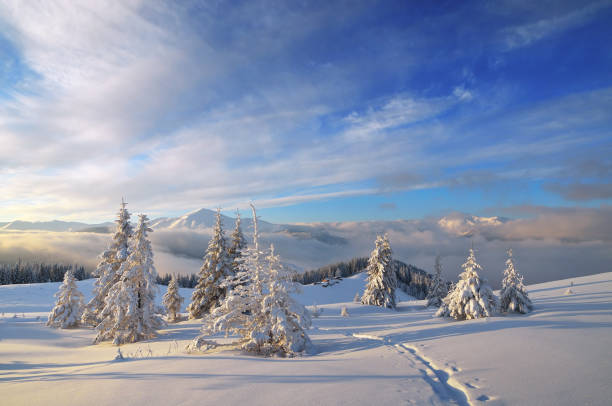 istock Winter morning in the mountains 1017841246