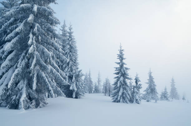 istock Mountain landscape cloudy day 1017841256