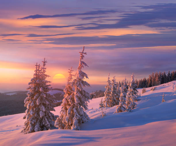 istock Beautiful winter landscape 1017841370