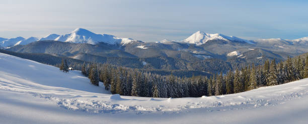 istock Winter in the mountain valley 1017841438