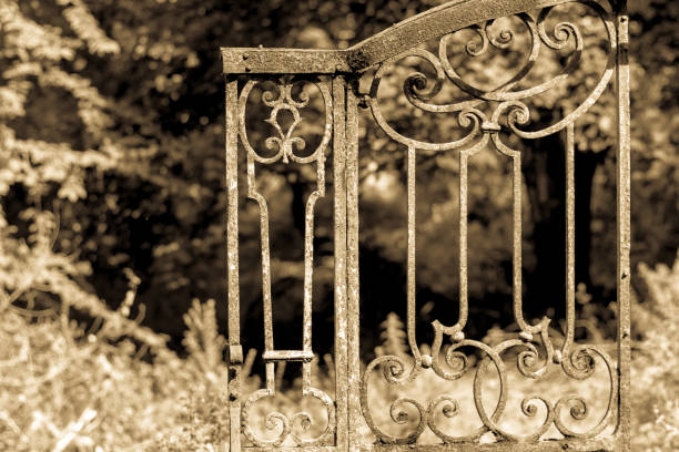 Derelict rusted ornate wrought iron gate in a wild woodland.  The gate originates from the late nineteenth century and a manor house that once occupied the area.  The house has since been demolished and the woodland is now a free public park.  Redburn Country Park, Holywood, County Down.  Tonal image.