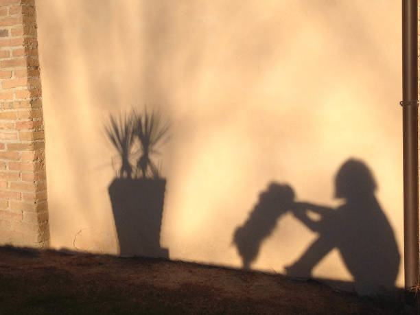 istock Shadows of woman with dog 1017844662
