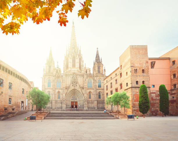 istock Gotic quarter of Barcelona 1017847772