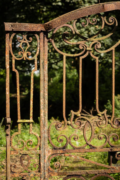 istock Derelict ornate wrought iron gate in a woodland 1017850110