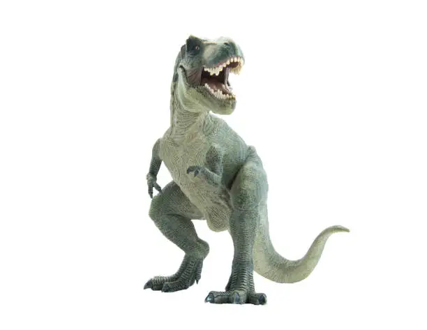 Photo of dinosaur tyrannosaurus rex