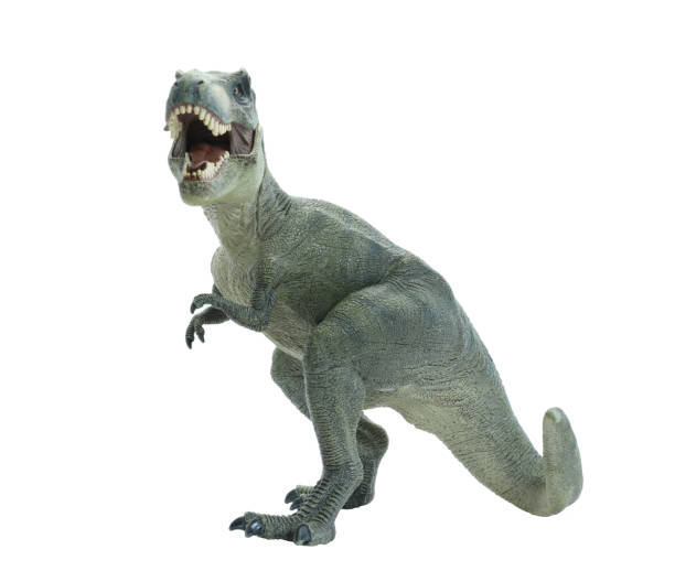 istock dinosaur tyrannosaurus rex 1017855494