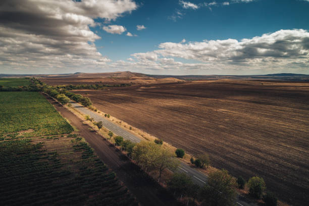 istock Aerial autumn view over vineyard fields in Europe 1017862576