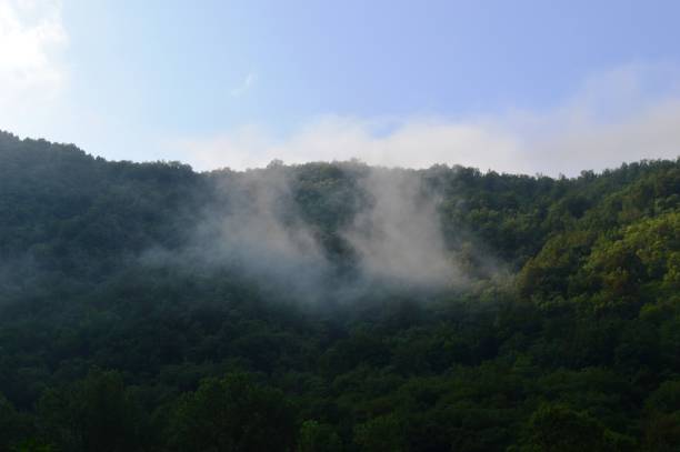 istock landscape cold foggy morning 1017863090