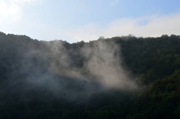 istock landscape cold foggy morning 1017863094