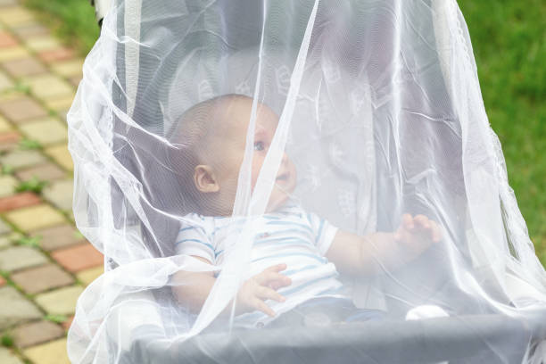 child in stroller covered with protective net during walk. baby carriage with anti-mosquito white cover. midge protection for children during outdoor walking season - mosquito mosquito netting protection insect imagens e fotografias de stock