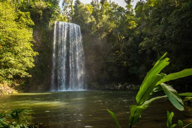 istock Millaa Milla Falls in the summer in Queensland, Australia 1017865562