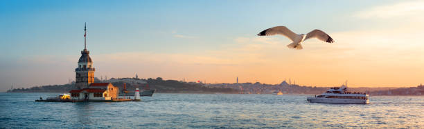 istock Maiden Tower in sea 1017868606