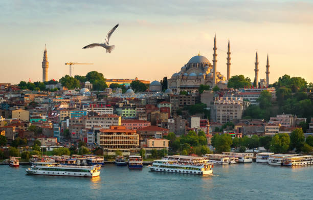 istock Sunset in Istanbul city 1017868822