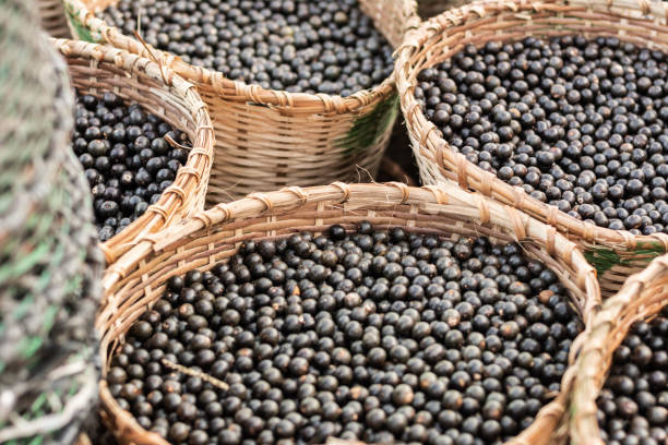istock Acai fruits displayed for sale in amazonian straw baskets 1017882302