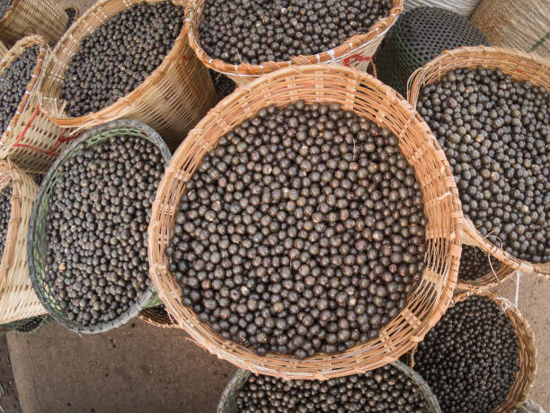 istock Acai fruits displayed for sale in amazonian straw baskets 1017890742