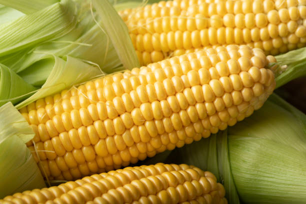 istock Fresh corn on cobs on rustic wooden table, closeup. Top view 1017891174