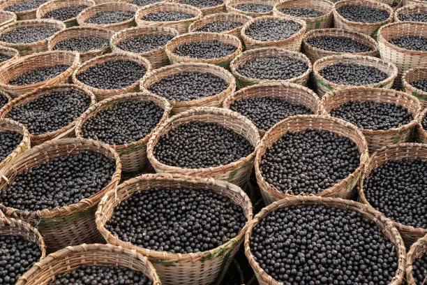 Photo of Acai fruits displayed for sale in amazonian straw baskets