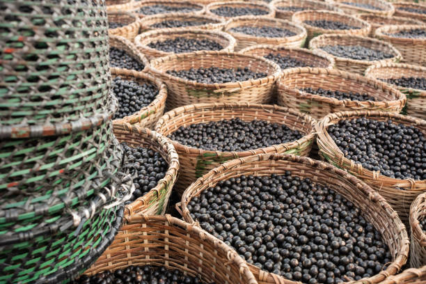 istock Acai fruits displayed for sale in amazonian straw baskets 1017893880
