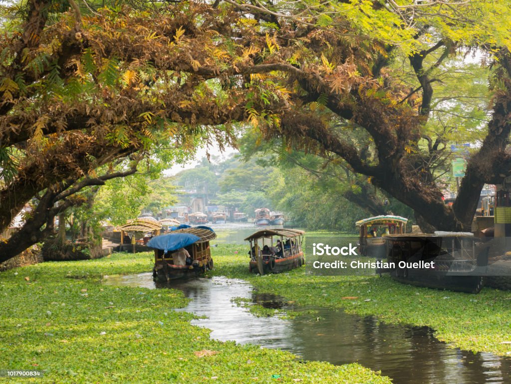 Houseboats on the backwaters of Kerala in Alappuzha (Alleppey) Houseboats on the backwaters of Kerala in Alappuzha (Alleppey). Kerala Stock Photo